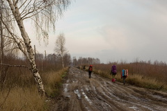Ноябрьский поход по Московской обл